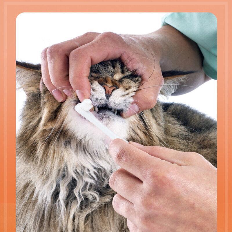 Pet Toothbrush Toothpaste Set for Cats and Dogs Vanilla Flavor Oral Care Kit V528-PETTOOTHPASTE-ORANG-60016