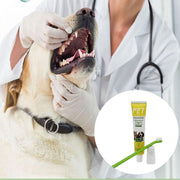 Pet Dog Cat Toothpaste and Toothbrush Set Beef Flavor V528-PETTOOTHPASTE-YELLOW-98135