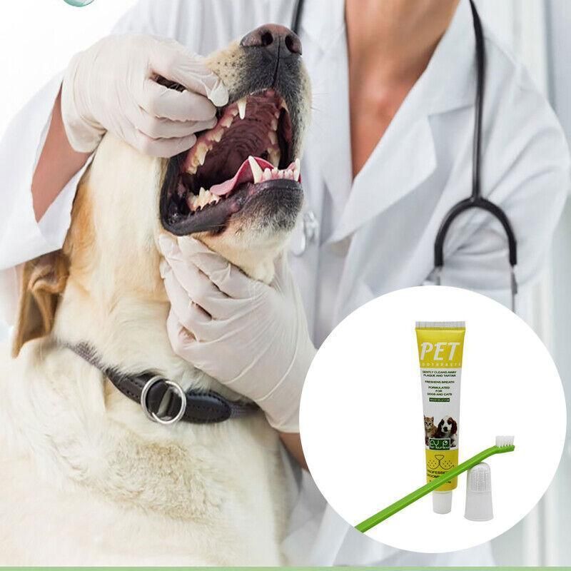 Pet Dog Cat Toothpaste and Toothbrush Set Beef Flavor V528-PETTOOTHPASTE-YELLOW-98135