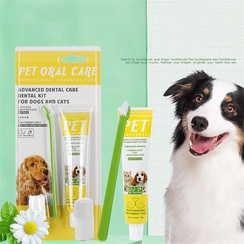 Pet Dog Cat Toothpaste and Toothbrush Set Beef Flavor V528-PETTOOTHPASTE-YELLOW-98135