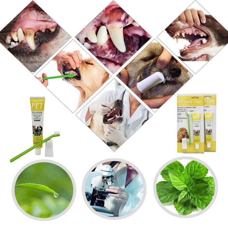 Pet Dog Cat Toothpaste and Toothbrush Set Beef Flavor V528-PETTOOTHPASTE-YELLOW-98135