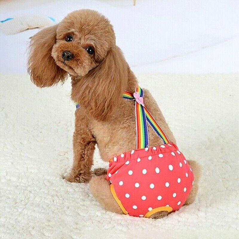 Female Pet Dog Cat Puppy Pant Menstrual Sanitary Nappy Diaper Wrap Underwear Blue - S V528-PHYSIOLOGICALPANTS-BLUE-S-65351