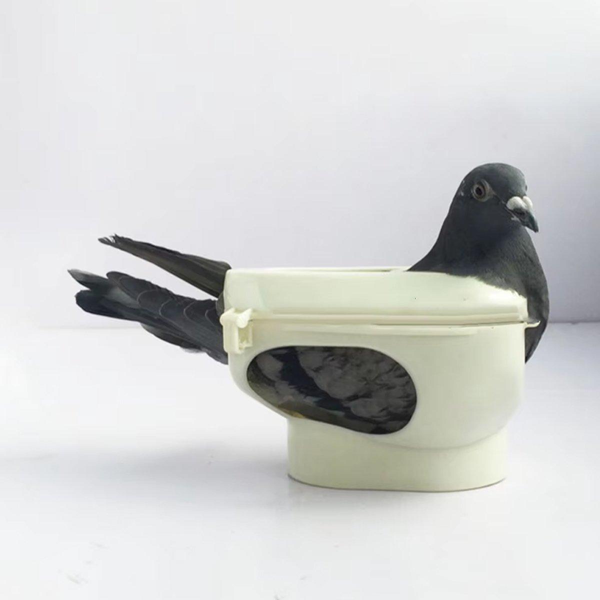 2X Practical Plastic Racing Pigeon Holder Fixed Frame Rack Bird Medicine Feeder V528-PIGEON-BRACKET-WHITE-2PCS-653083
