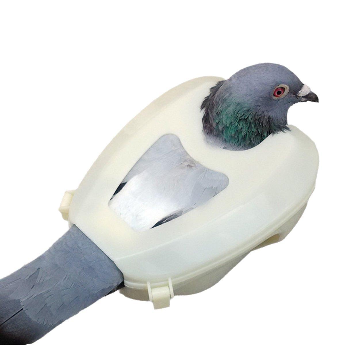 2X Practical Plastic Racing Pigeon Holder Fixed Frame Rack Bird Medicine Feeder V528-PIGEON-BRACKET-WHITE-2PCS-653083