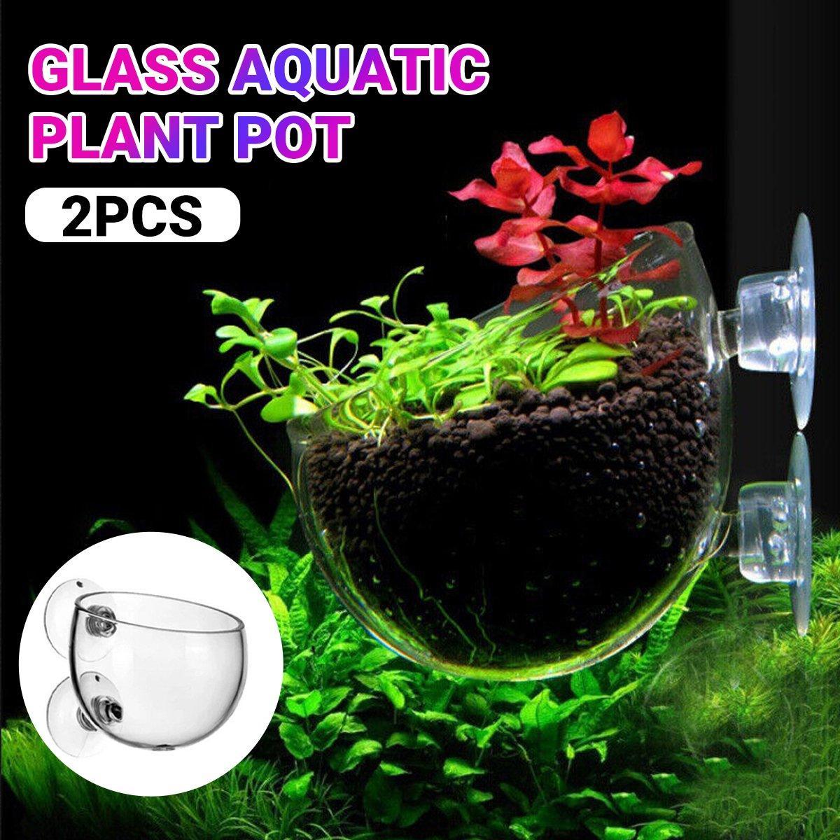 Aquarium Plant Cup for Breeding and Aquascaping Glass Water Plant Holder V528-PLANT-CUP-2PCS-576970