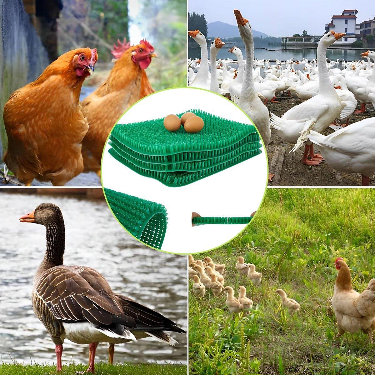 6PCS Egg Laying Box Mat Plastic Chicken Nest Grass Pad Imitation Grass Gasket V528-PLASTIC-GASKET-GREEN-6PCS-811297