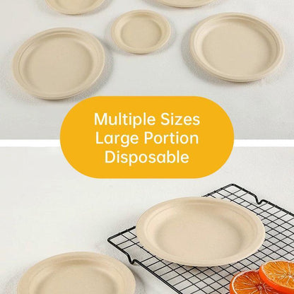100x Biodegradable Sugarcane Paper Trays - Eco-Friendly & Durable for Food - 9inches-100pcs V528-PLATE-9INCHES-100PCS-522891