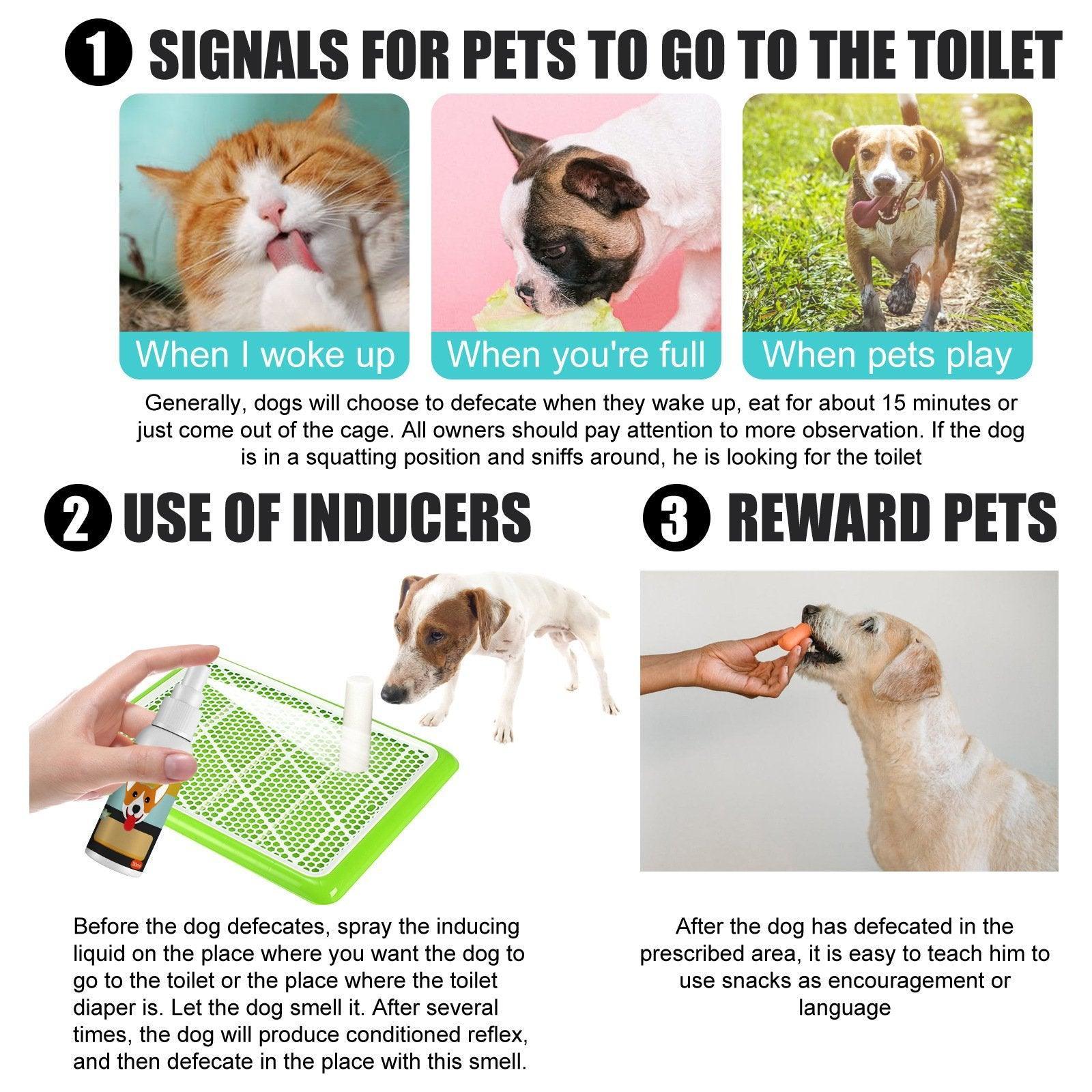 Pet Toilet Training Spray Inducer Dog Poops Cat Pee Urine Positioning Defecation V528-POSITIONINGSPRAY-30ML-466356