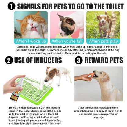 Pet Toilet Training Spray Inducer Dog Poops Cat Pee Urine Positioning Defecation V528-POSITIONINGSPRAY-30ML-466356