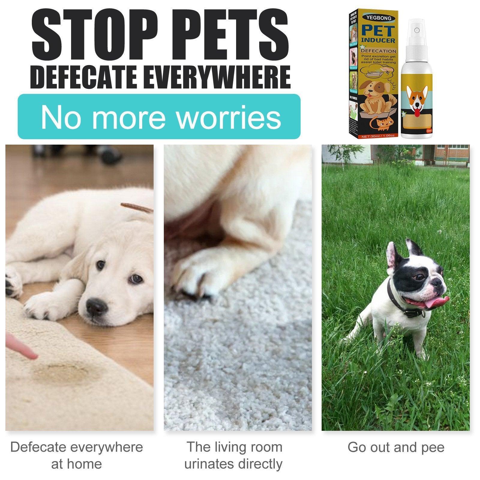 Pet Toilet Training Spray Inducer Dog Poops Cat Pee Urine Positioning Defecation V528-POSITIONINGSPRAY-30ML-466356