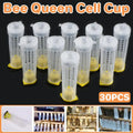 30pcs Bee Protective Covers Multi Functional King Cage Bee Bite Protector Shield V528-PROTECTIVE-COVER-30PCS-650748
