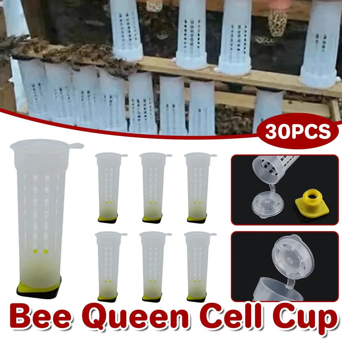 30pcs Bee Protective Covers Multi Functional King Cage Bee Bite Protector Shield V528-PROTECTIVE-COVER-30PCS-650748