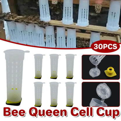 30pcs Bee Protective Covers Multi Functional King Cage Bee Bite Protector Shield V528-PROTECTIVE-COVER-30PCS-650748