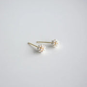 Fashion Pearl Wedding Earrings Zircon Cherry Stud Pearl Earrings for Women - Cherry V528-QLX35-C-11993