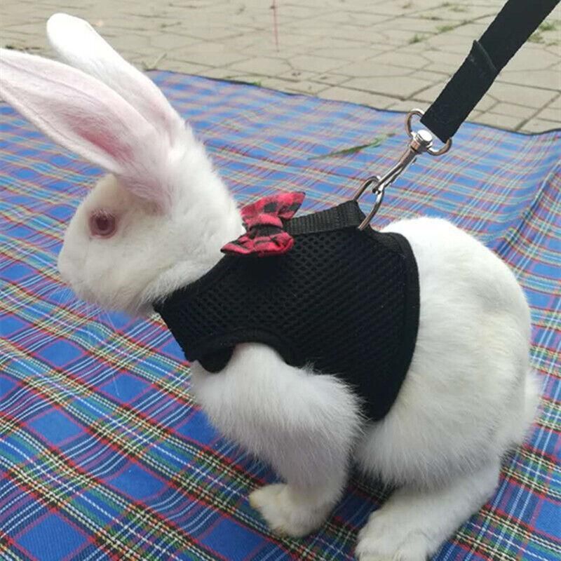 Rabbit Vest Harness Leash Lead Small Animal Pet Mesh Hamster Bunny Traction Rope S - Black V528-RABBITHARNESS-BLACK-S-393906