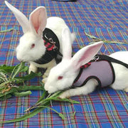 Rabbit Vest Harness Leash Lead Small Animal Pet Mesh Hamster Bunny Traction Rope S - Pink V528-RABBITHARNESS-PINK-S-293313