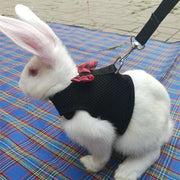 Rabbit Vest Harness Leash Lead Small Animal Pet Mesh Hamster Bunny Traction Rope S - Pink V528-RABBITHARNESS-PINK-S-293313