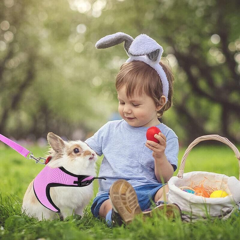 Rabbit Vest Harness Leash Lead Small Animal Pet Mesh Hamster Bunny Traction Rope S - Red V528-RABBITHARNESS-RED-S-312311