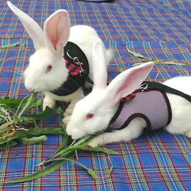 Rabbit Vest Harness Leash Lead Small Animal Pet Mesh Hamster Bunny Traction Rope S - Red V528-RABBITHARNESS-RED-S-312311