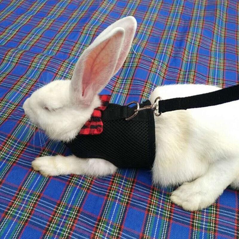Rabbit Vest Harness Leash Lead Small Animal Pet Mesh Hamster Bunny Traction Rope S - Red V528-RABBITHARNESS-RED-S-312311