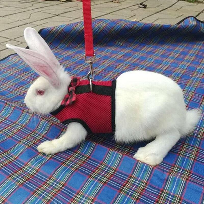 Rabbit Vest Harness Leash Lead Small Animal Pet Mesh Hamster Bunny Traction Rope S - Red V528-RABBITHARNESS-RED-S-312311