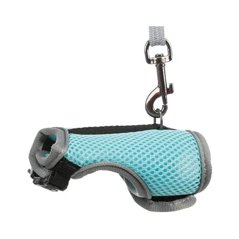 Small Animal Harness Guinea Pig Forret Hamster Rabbit Squirrel Vest Clothes Lead M Size - Blue V528-RABBITVEST-BLUE-M-28127