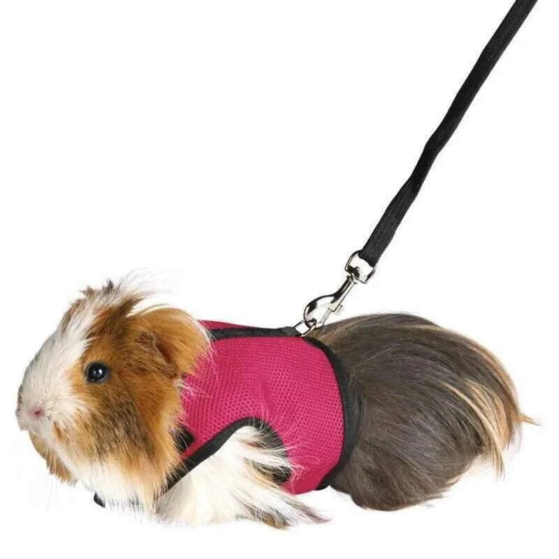 Small Animal Harness Guinea Pig Forret Hamster Rabbit Squirrel Vest Clothes Lead M Size - Blue V528-RABBITVEST-BLUE-M-28127