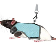 Small Animal Harness Guinea Pig Forret Hamster Rabbit Squirrel Vest Clothes Lead M Size - Blue V528-RABBITVEST-BLUE-M-28127