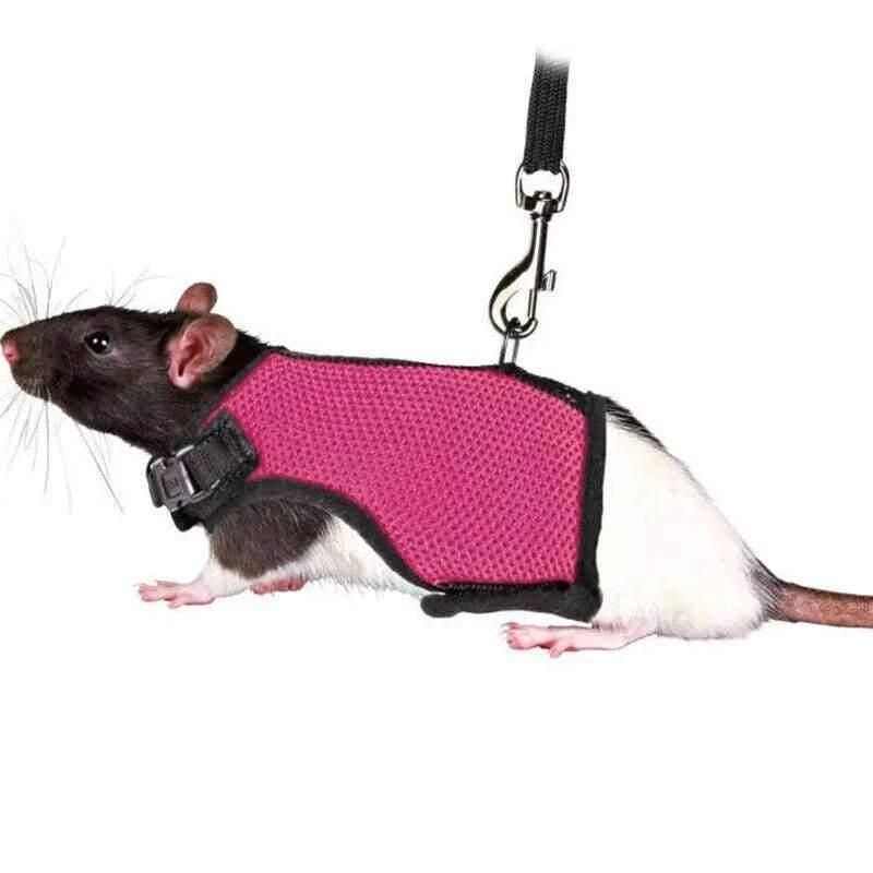Small Animal Harness Guinea Pig Forret Hamster Rabbit Squirrel Vest Clothes Lead M Size - Rose Red V528-RABBITVEST-RED-M-36083