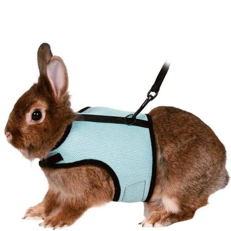 Small Animal Harness Guinea Pig Forret Hamster Rabbit Squirrel Vest Clothes Lead M Size - Rose Red V528-RABBITVEST-RED-M-36083