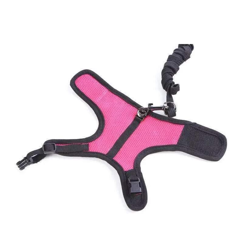 Small Animal Harness Guinea Pig Forret Hamster Rabbit Squirrel Vest Clothes Lead M Size - Rose Red V528-RABBITVEST-RED-M-36083