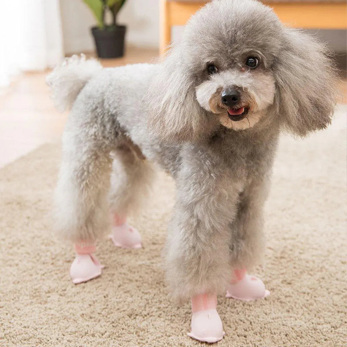 4pcs Cartoon Pet Rain Boots Waterproof Non-Slip Wear-Resistant Shoes for Dogs - Blue - M V528-RAIN-BOOTS-J-BLUE-M-394780