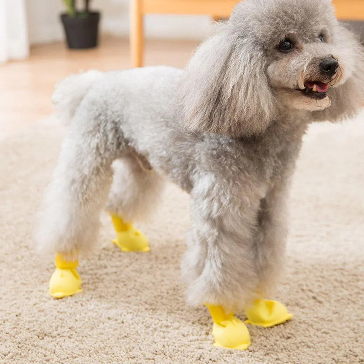 4pcs Cartoon Pet Rain Boots Waterproof Non-Slip Wear-Resistant Shoes for Dogs - Blue - M V528-RAIN-BOOTS-J-BLUE-M-394780