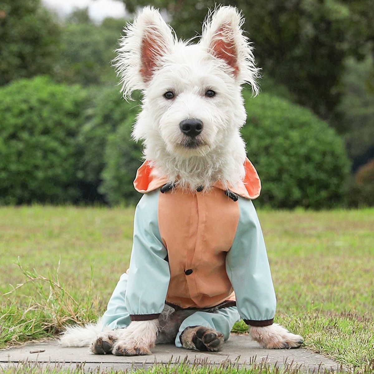 Waterproof Four Foot Dog Raincoat for Small Medium Large Dogs Pet Rainy Day Coat - Light Gray+Dark Grey - XXL V528-RAINCOAT-H-XXL-497083