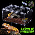 Clear Pet Box Slide Lid Reptile Breeding Habitat Panoramic View Terrarium V528-RAISING-BOX-731756