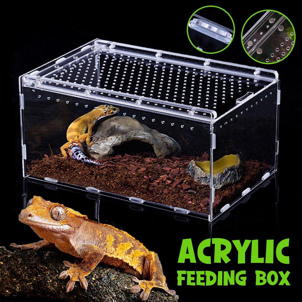 Clear Pet Box Slide Lid Reptile Breeding Habitat Panoramic View Terrarium V528-RAISING-BOX-731756