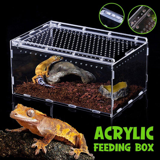 Clear Pet Box Slide Lid Reptile Breeding Habitat Panoramic View Terrarium V528-RAISING-BOX-731756