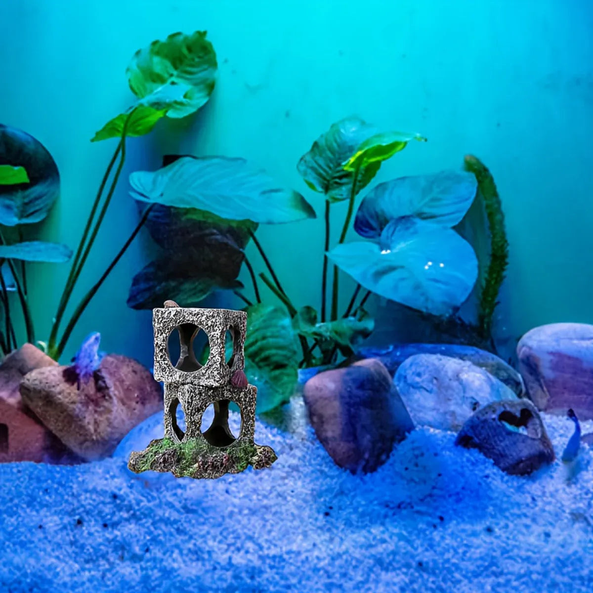 Fish Tank Shrimp Shelter House Square Stone Cave Aquarium Breeding Hiding Decor - 3 Squares V528-REFUGE-HOUSE-3-339924