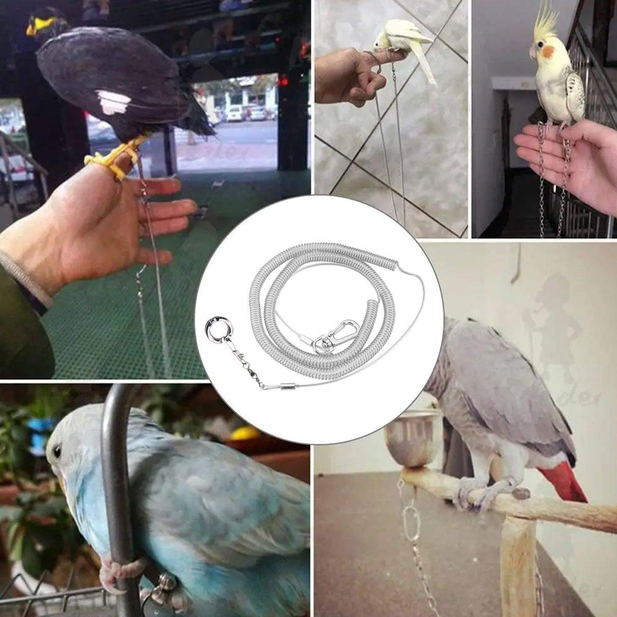 Parrot Leg Ring Anti Slip Bird Anklet Elastic Rope with Alloy Fasteners Supplies - 6mm
