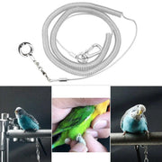 Parrot Leg Ring Anti Slip Bird Anklet Elastic Rope with Alloy Fasteners Supplies - 6mm