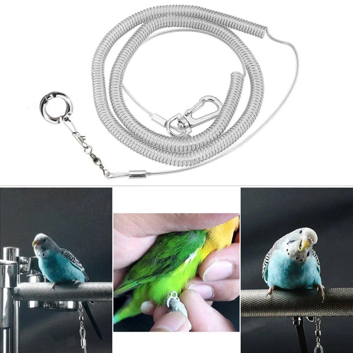 Parrot Leg Ring Anti Slip Bird Anklet Elastic Rope with Alloy Fasteners Supplies - 8mm