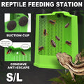 Reptile Hunting Dish Predator Trap Hanging and Placing Field Tool for Outdoors - L V528-REPTILE-PREDATOR-L-228412