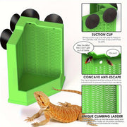 Reptile Hunting Dish Predator Trap Hanging and Placing Field Tool for Outdoors - L V528-REPTILE-PREDATOR-L-228412