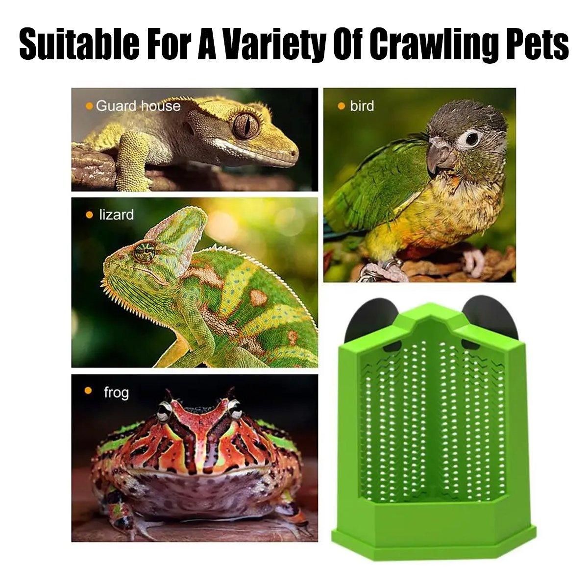 Reptile Hunting Dish Predator Trap Hanging and Placing Field Tool for Outdoors - L V528-REPTILE-PREDATOR-L-228412