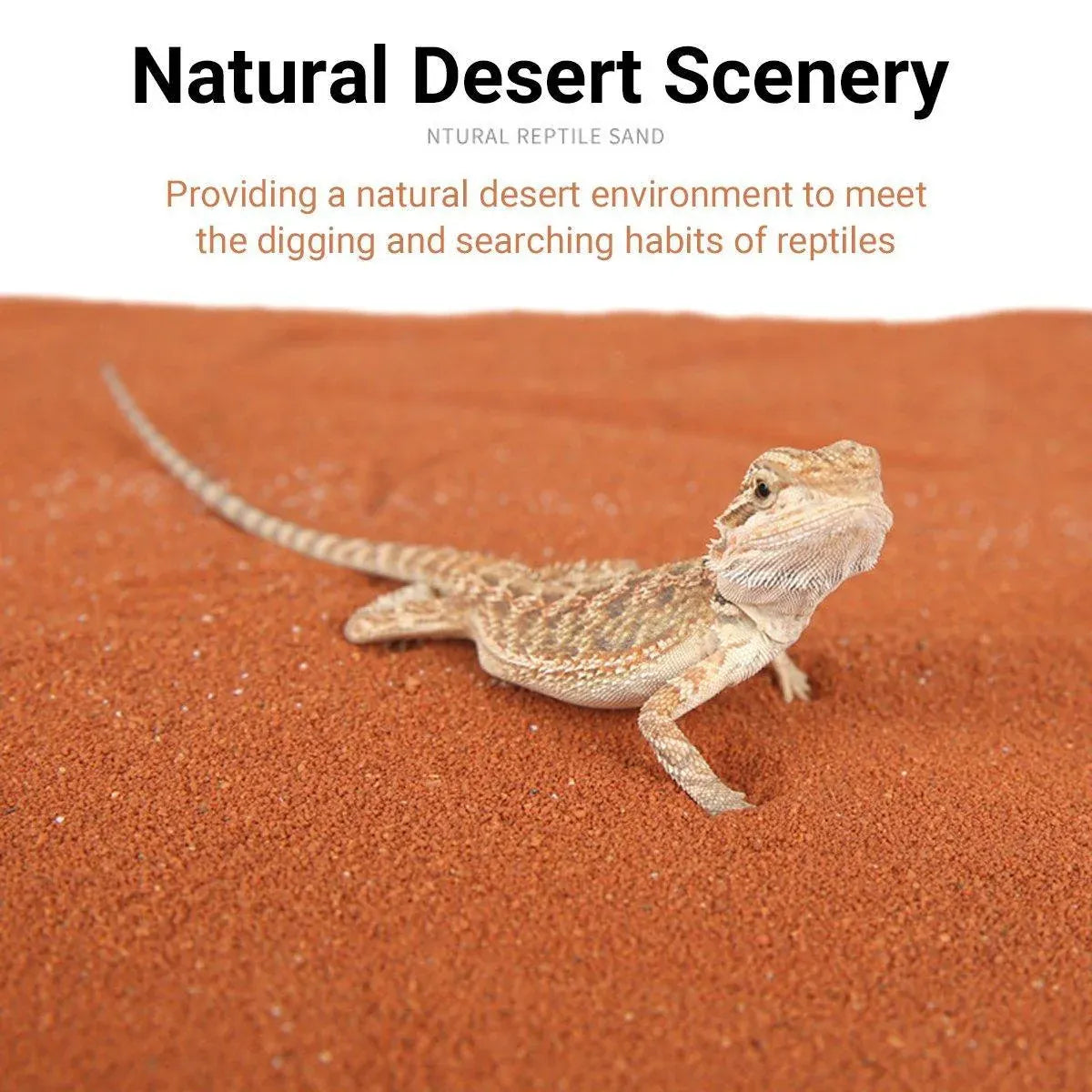 Reptile Sand Climbing Mat Pet Feeding Box Terrarium Landscaping Accessories - Orange V528-REPTILE-SAND-ORANGE-276971