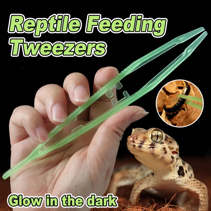 Reptile & Amphibian Supplies