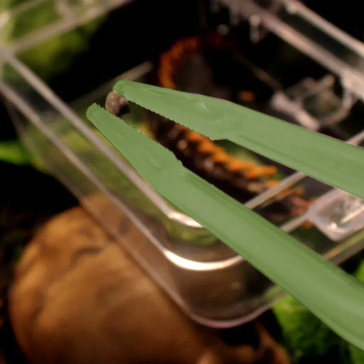 18cm Plastic Luminous Tweezer Feeding Tongs Straight for Reptile Feeder White V528-REPTILE-TWEEZERS-LUMINOUS-287045
