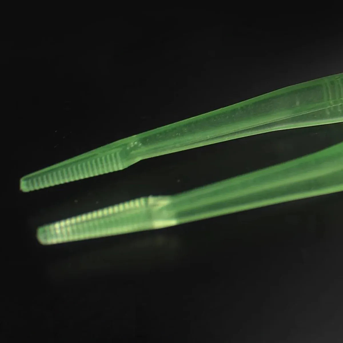 18cm Plastic Luminous Tweezer Feeding Tongs Straight for Reptile Feeder White V528-REPTILE-TWEEZERS-LUMINOUS-287045