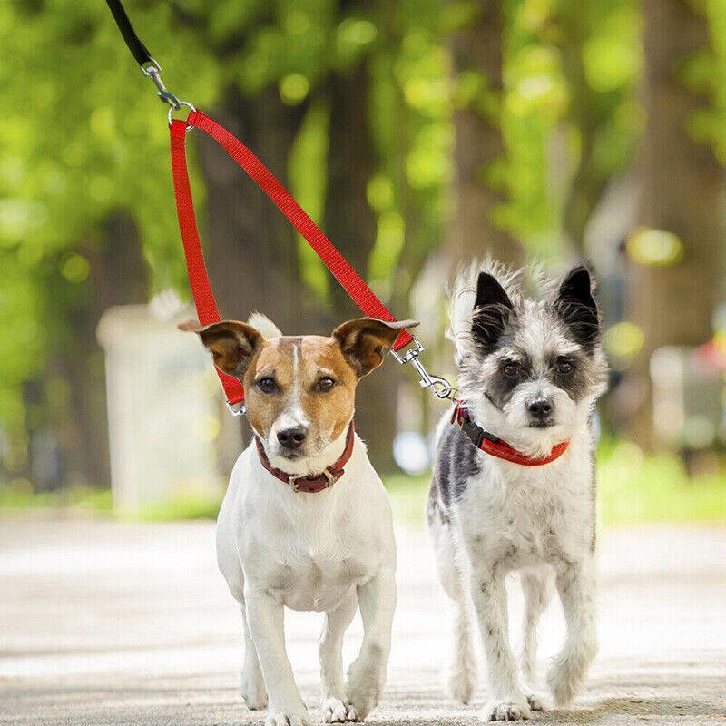 2 Way Double Dual Dog Leash Walk 2 Dogs With One Lead Coupler Nylon Harness - Blue V528-ROPE-BLUE-79277