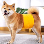 S Male Dog Puppy Nappy Diaper Belly Wrap Band Sanitary Pants Underpants - Grey V528-SANITARYPANTS-GREY-S-81464
